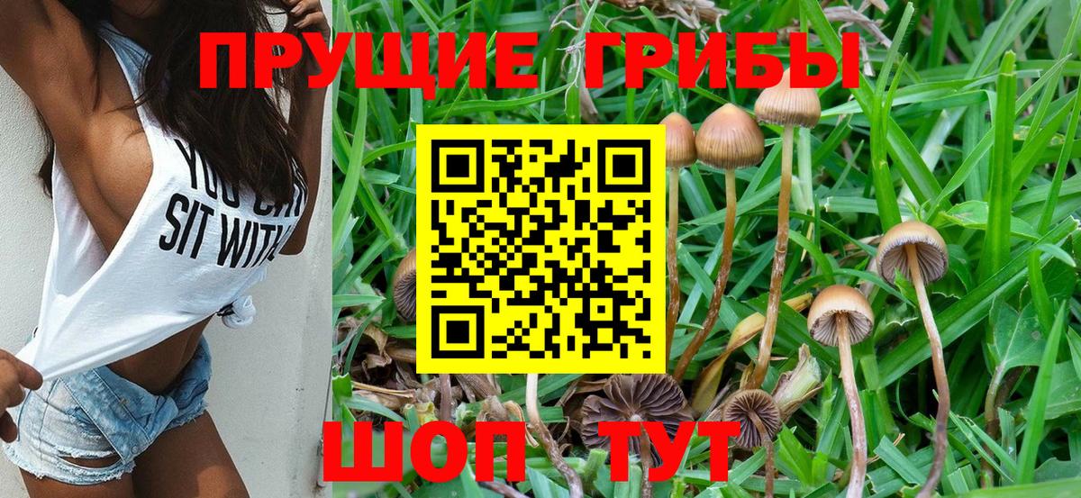 Псилоцибиновые грибы прущие грибы Кашира