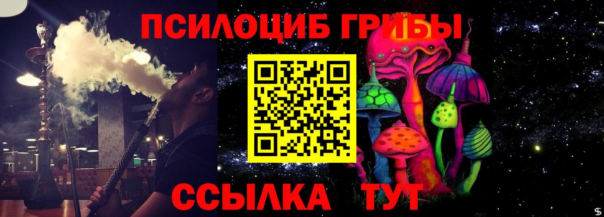 Кашира  Псилоцибиновые грибы Psilocybine cubensis  Вход с VPN  купить  сайты  Псилоцибиновые грибы мицелий 